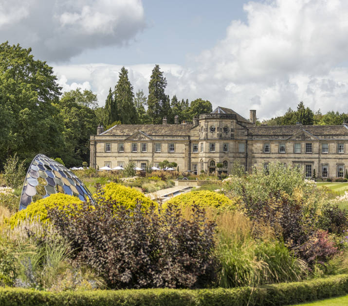 Spring Reset Experience