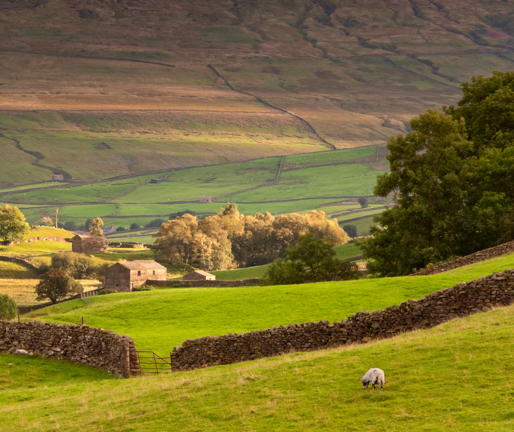 YORKSHIRE DALES