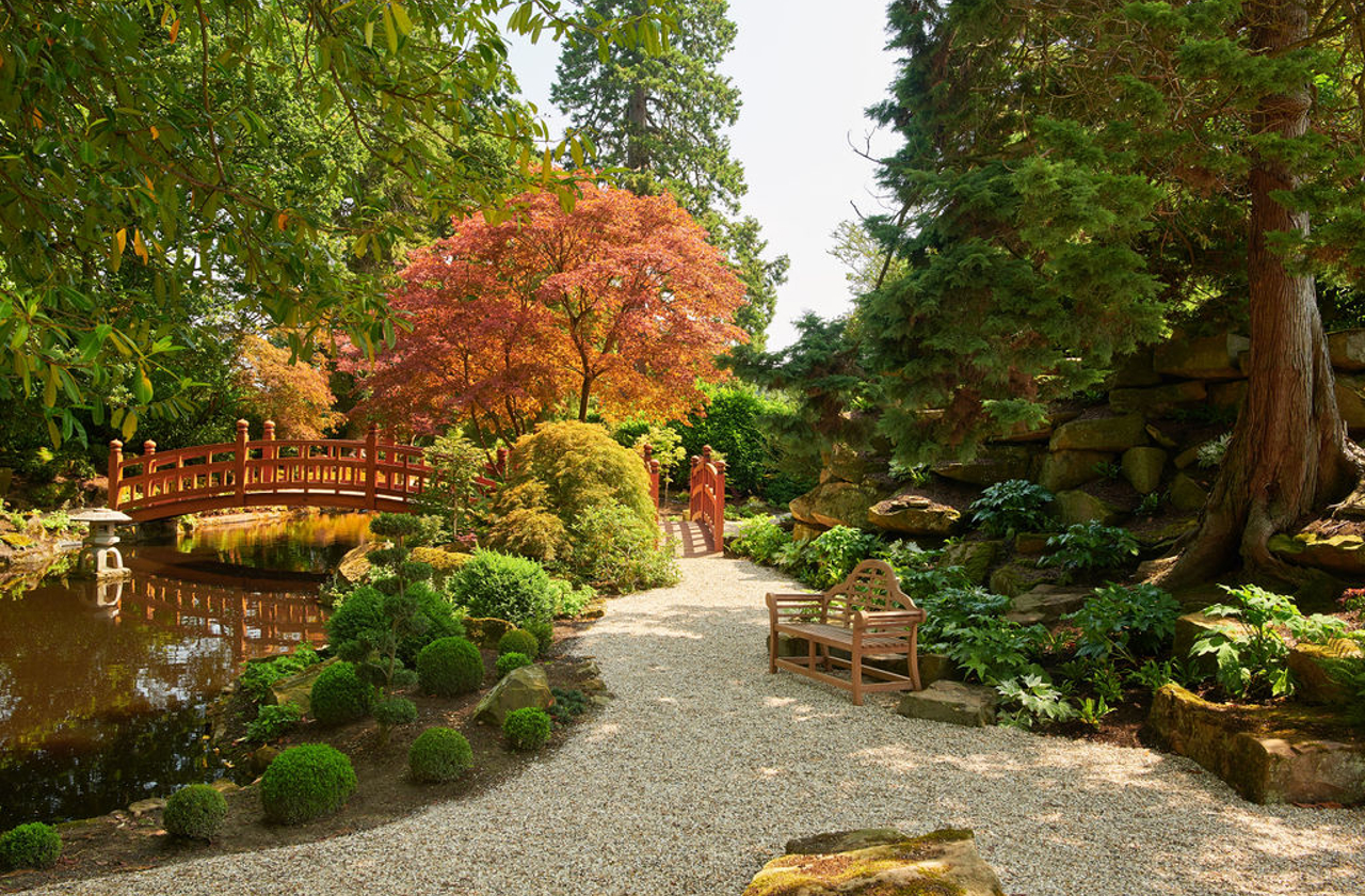 The Japanese Garden 