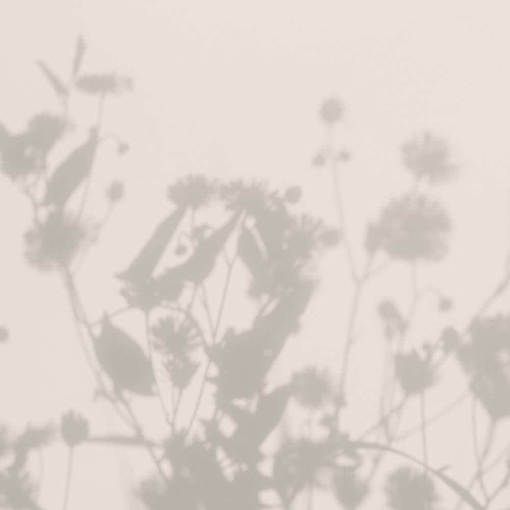 Grantley Hall — interior and exterior view 10