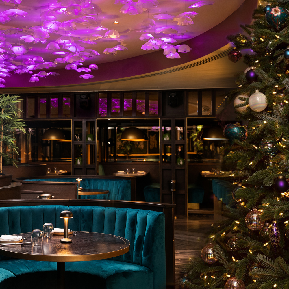 Restaurant Dining